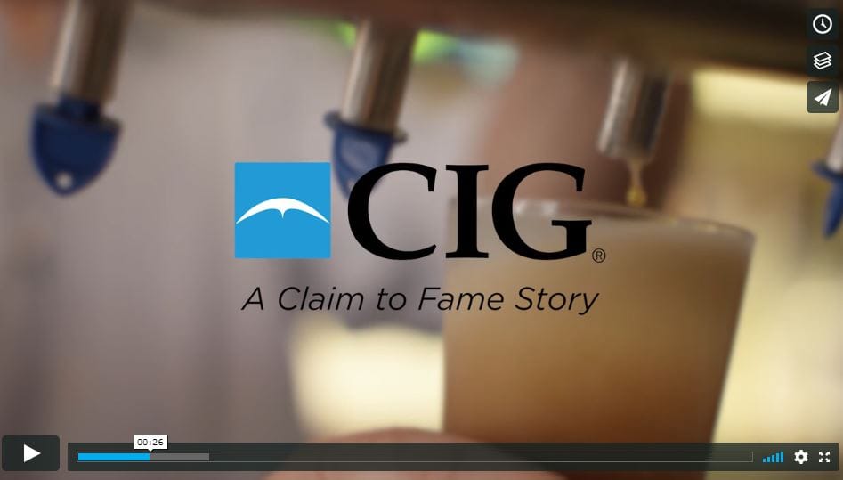Personal, Commercial, &amp; Agriculture Capital Insurance Group