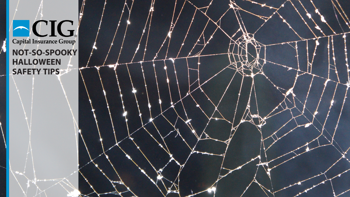 Halloween Safety for Homeowners Capital Insurance Group